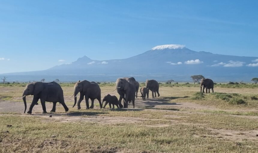 Explorer les Paysages Diversifiés du Kenya : Un Rêve pour les Photographes