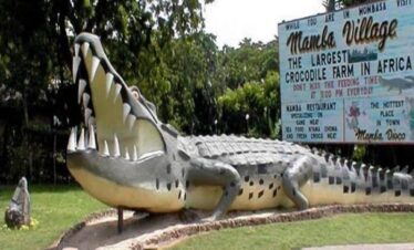Odyssée Culturelle à Mombasa : Du Charme de la Vieille Ville aux Rencontres avec les Crocodiles