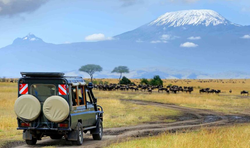 Safaris Durables : Comment Votre Voyage Peut Soutenir les Communautés Africaines