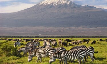 Expédition au Kenya : Une Aventure de Safari Palpitante de 11 Jours de Samburu à Mombasa
