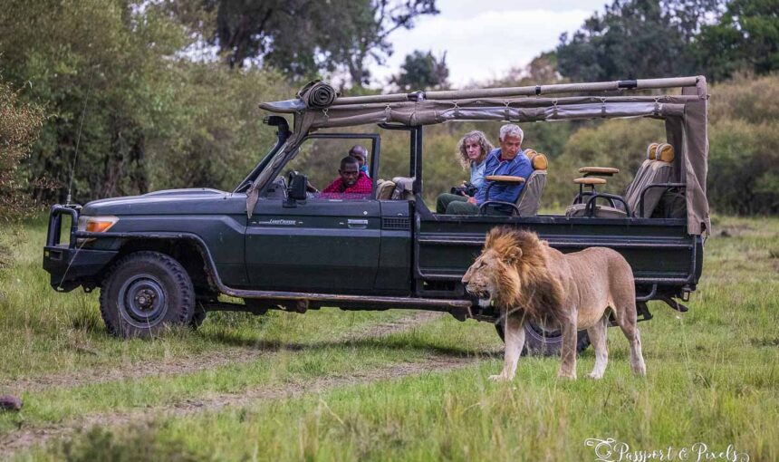 Quand le Luxe Rencontre la Nature : Les Meilleurs Lodges Safari Haut de Gamme en Afrique