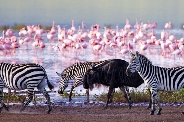 lake-nakuru-national-park-4-750×400