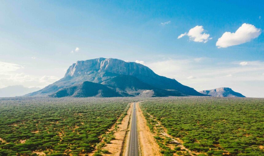 Comment Planifier le Safari en Road Trip Parfait