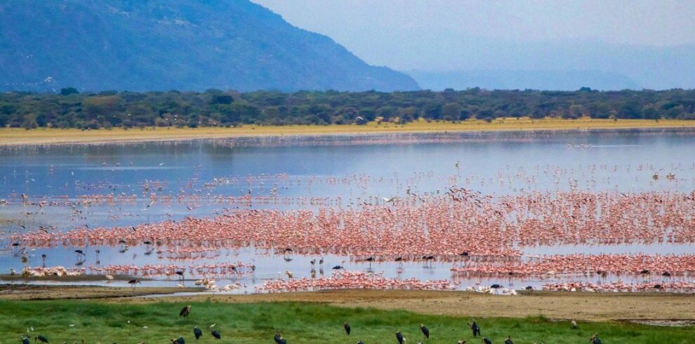 lake-manyara-1-1110×700