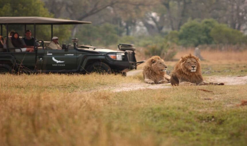 Vous avez perdu quelque chose lors de vos dernières vacances ? Vous n’êtes pas seul – Pourquoi les voyageurs perdent des objets (et comment l’éviter)