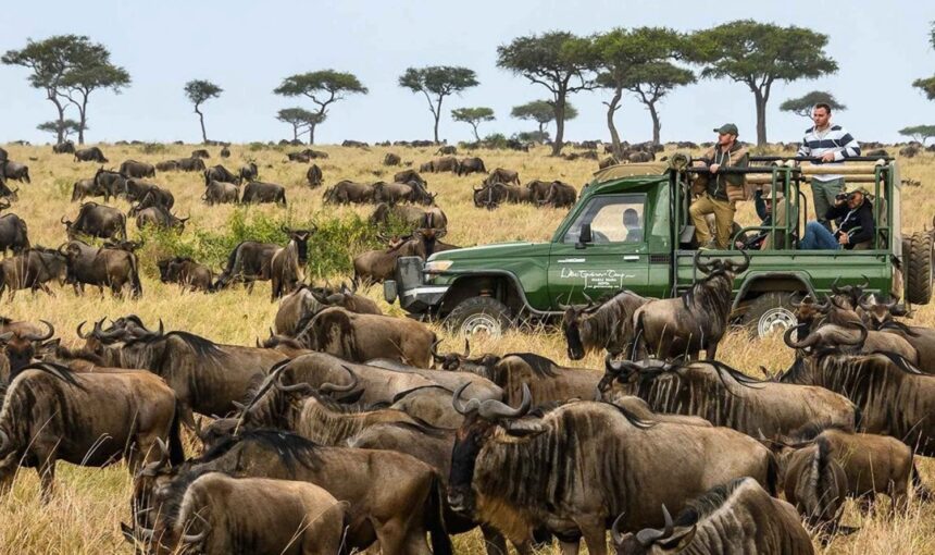 10 Choses Inoubliables à Voir et à Faire au Kenya : Une Aventure de Safari Vous Attend