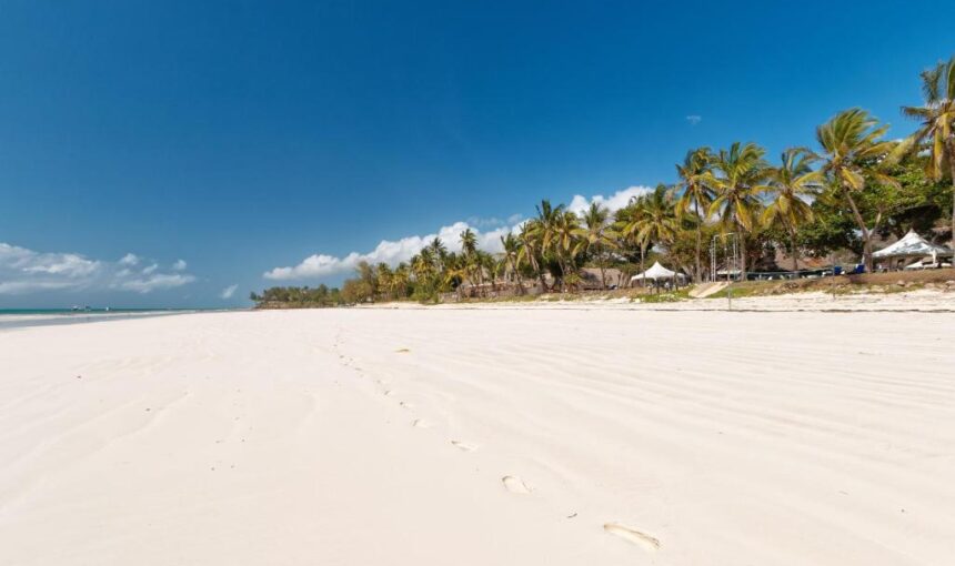 Combien de Temps Devrait Durer Votre Safari et Séjour Plage au Kenya ?