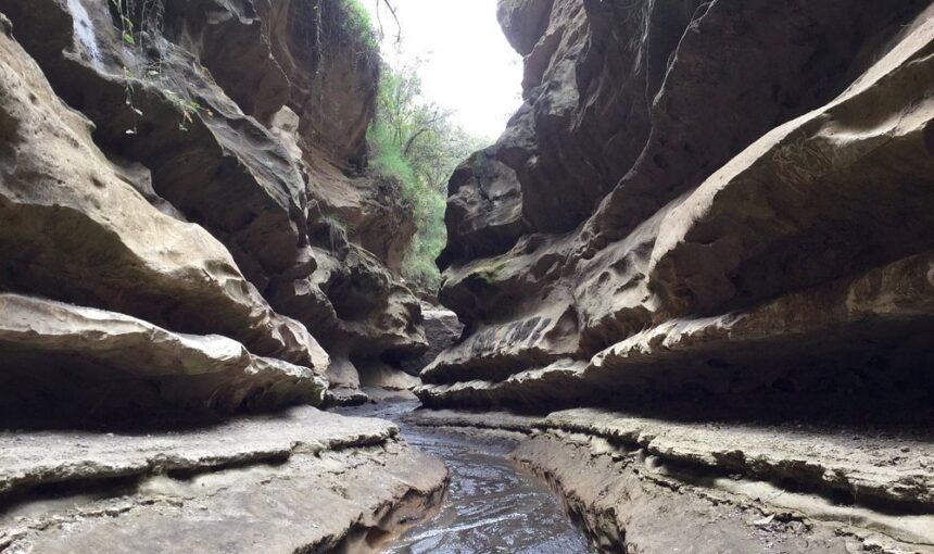 Les Incontournables du Kenya : Trésors Cachés et Sites Emblématiques