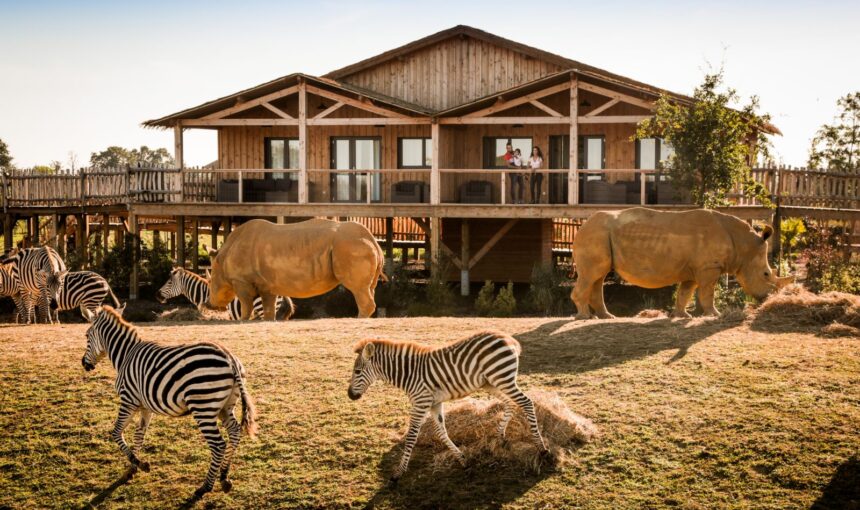 Découvrez les Joyaux Cachés de la Côte Kényane