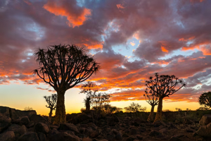 10 Paysages à Couper le Souffle au Kenya Que Vous Ne Pouvez Pas Manquer