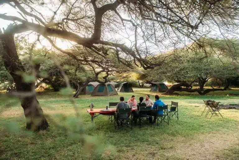 Nuit en Lodge vs Nuit sous Tente : Quelle Expérience de Safari Choisir ?
