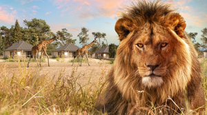 Tarifs des Safaris en Afrique : À Quoi S’Attendre en 2025