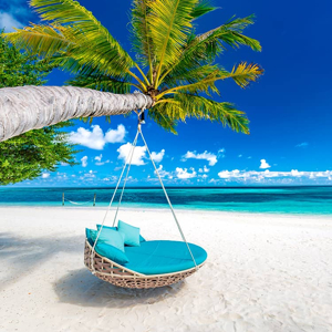 Safari et Plages : La Combinaison Parfaite pour des Vacances en Afrique
