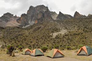 Choisir un lodge ou un camp de safari : lequel vous convient le mieux ?
