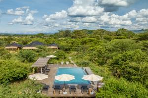 Les 7 Meilleurs Lodges de Safari au Kenya pour un Séjour Inoubliable en Pleine Nature
