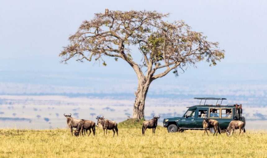 Découvrez la magie du Maasai Mara à travers les saisons