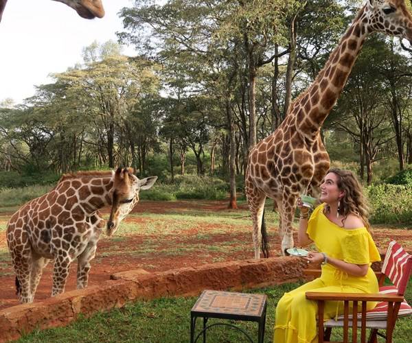 Découvrez comment passer 24 heures inoubliables à Nairobi. Des girafes et éléphants aux marchés animés et cocktails artisanaux, explorez les incontournables de la ville."