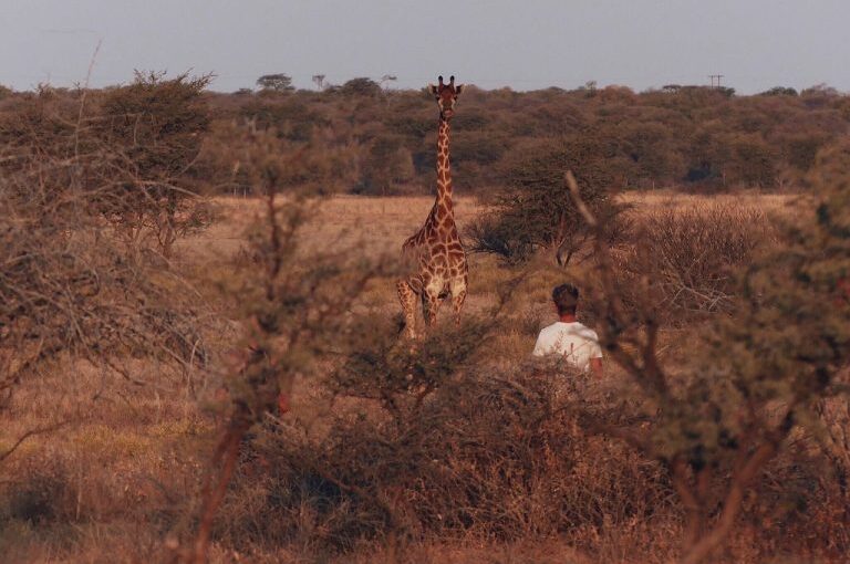 Safari de Rêve : Comment Bien Planifier Votre Voyage en Afrique ?