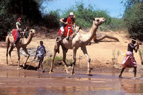 Kenya en Famille : Activités Adaptées à Tous les Âges