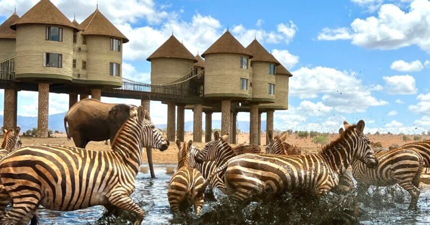 Taita Hills : Tout ce que vous devez savoir avant de partir en 2025