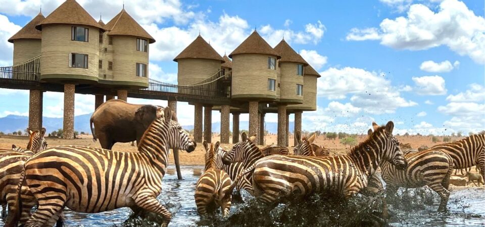 Taita Hills : Tout ce que vous devez savoir avant de partir en 2025