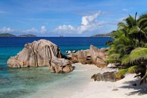 Plages du Kenya les Plus Tendances en 2025 pour un Séjour Paradisiaque