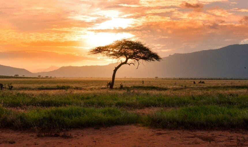 Safari au lac Magadi : Un joyau caché du Kenya