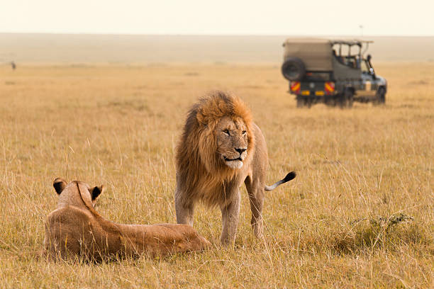 .tour afrique orientale