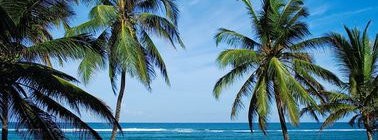Diani Beach, Kenya : Couchers de Soleil, Culture Swahilie et Eaux Cristallines