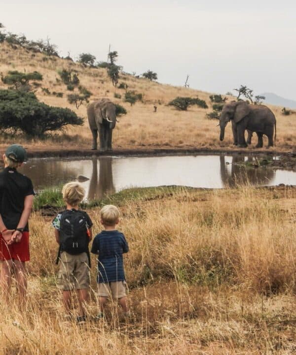 Safari en famille au Kenya, destinations safari, voyage au Kenya