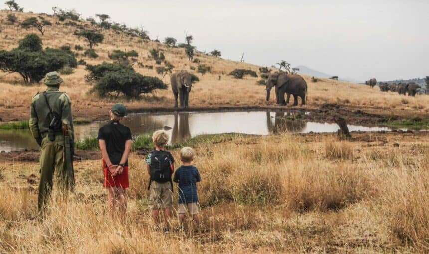 Safari en Famille : Les Meilleures Destinations au Kenya