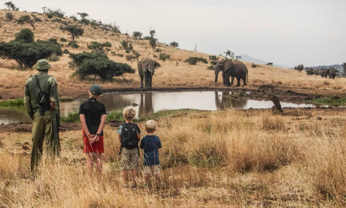 Safari en famille au Kenya, destinations safari, voyage au Kenya