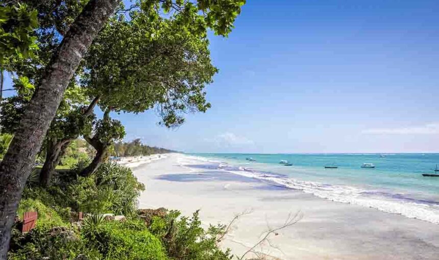 Pourquoi Choisir l’Afrique pour Votre Lune de Miel ?