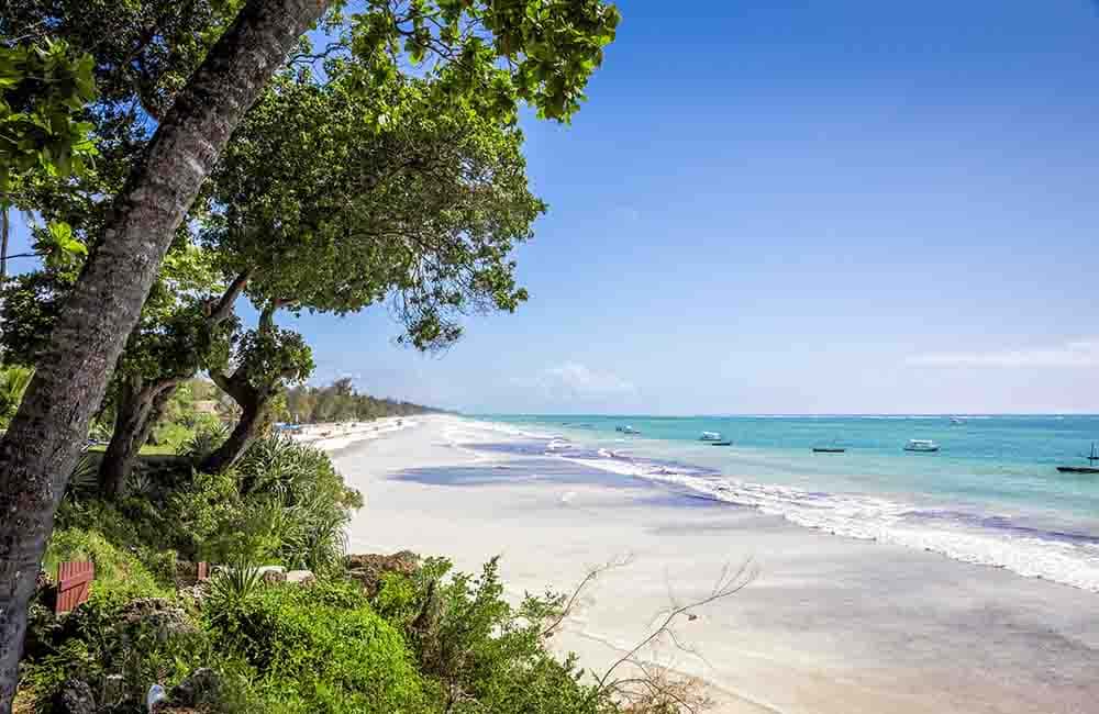 Pourquoi Choisir l'Afrique pour Votre Lune de Miel ?