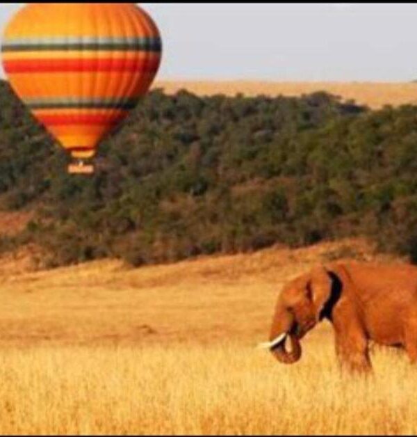 Safaris en Montgolfière au Kenya & en Tanzanie : Une Aventure à Couper le Souffle