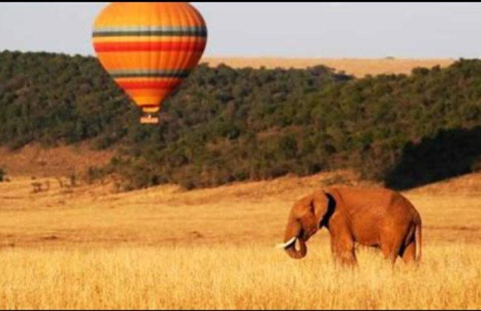 Montgolfière Kenya : Expérience Magique et Conseils Anti-Moustiques pour un Safari Parfait