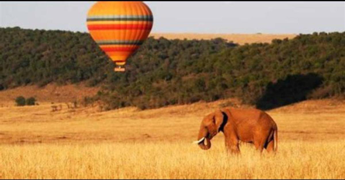 Montgolfière Kenya : Expérience Magique et Conseils Anti-Moustiques pour un Safari Parfait