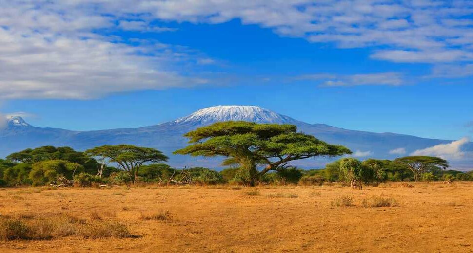 Pourquoi le Lac Nakuru est une Destination Incontournable pour les Amoureux de la Nature ?