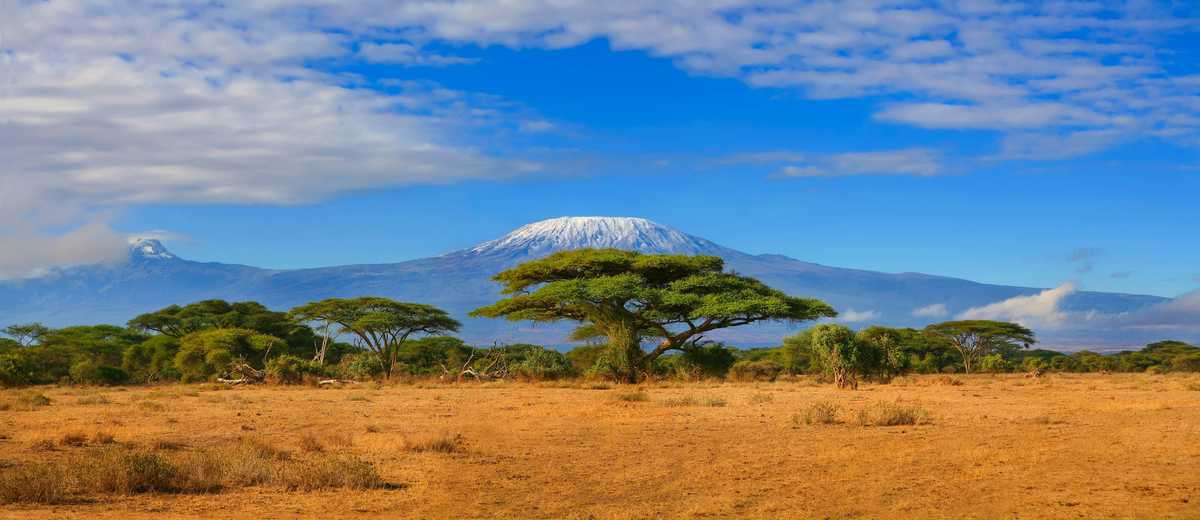 Pourquoi le Lac Nakuru est une Destination Incontournable pour les Amoureux de la Nature ?