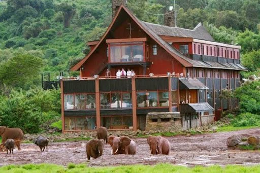 : The Ark Lodge, safari Aberdares, lodge Kenya