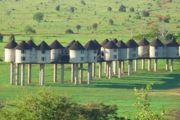 Taita Hills : Les Hautes Terres Mystiques du Kenya près du Parc National de Tsavo
