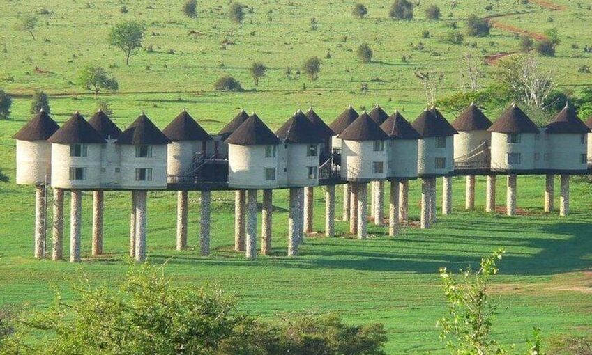 Revue : “Kenya Sauvage” – Une Aventure Safari de 4 Jours avec Tour Afrique Orientale 2025