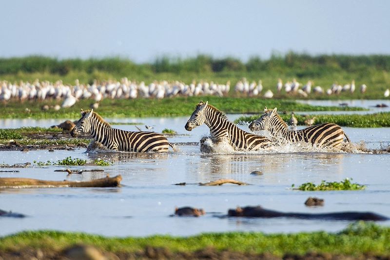 Découvrez les incroyables avantages de visiter plusieurs parcs nationaux lors de votre safari africain. Explorez la faune diversifiée, les paysages magnifiques et les expériences inoubliables. Réservez votre aventure dès aujourd'hui avec Tour Afrique Orientale.
