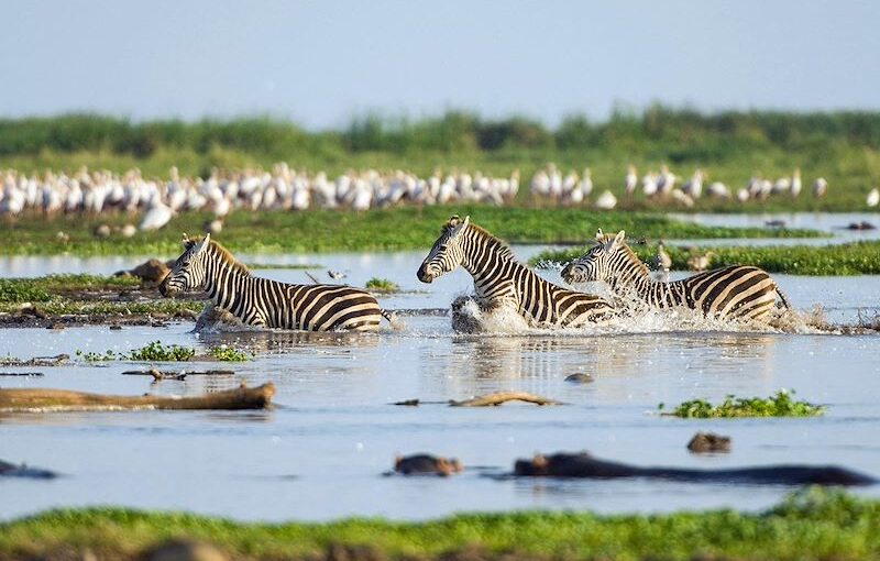 Questions Fréquemment Posées sur les Safaris au Kenya au Départ de Nairobi