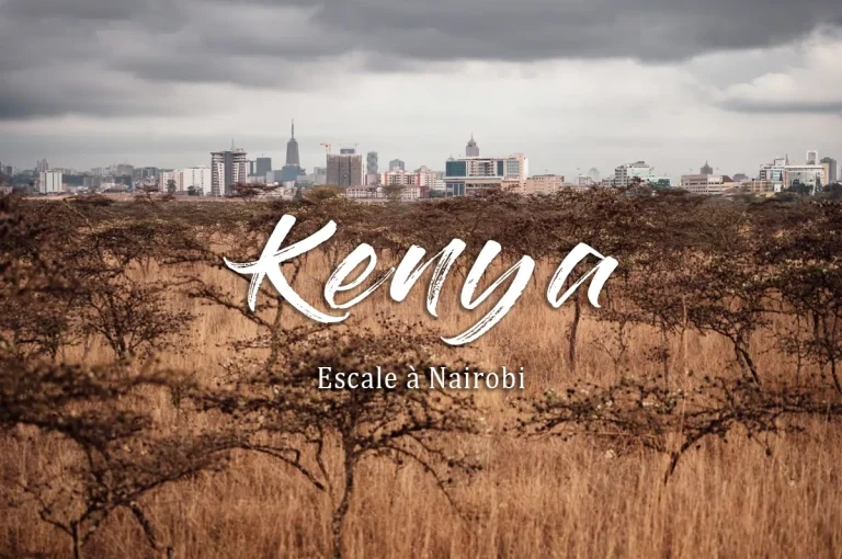 Safari Budget : Comment Visiter l’Afrique Sans se Ruiner