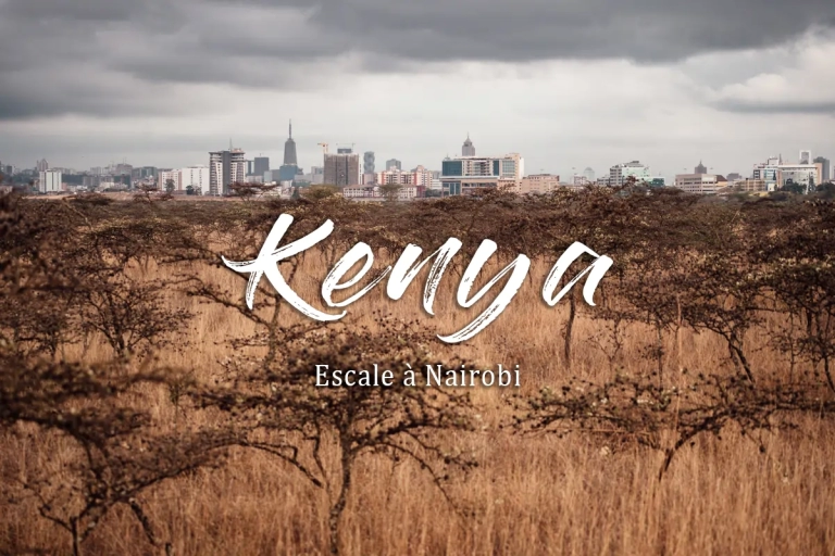 Découvrez comment planifier un safari économique en Afrique, avec des conseils pratiques pour explorer le Kenya et la Tanzanie sans dépasser votre budget. Safari de groupe, hébergement abordable, et des activités palpitantes vous attendent !