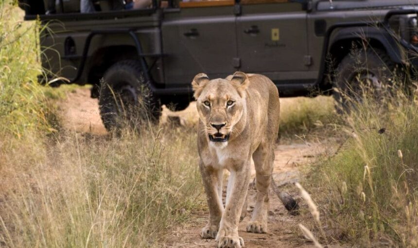 Que faire au Kenya quand vous n’êtes pas en safari : 12 excursions incroyables