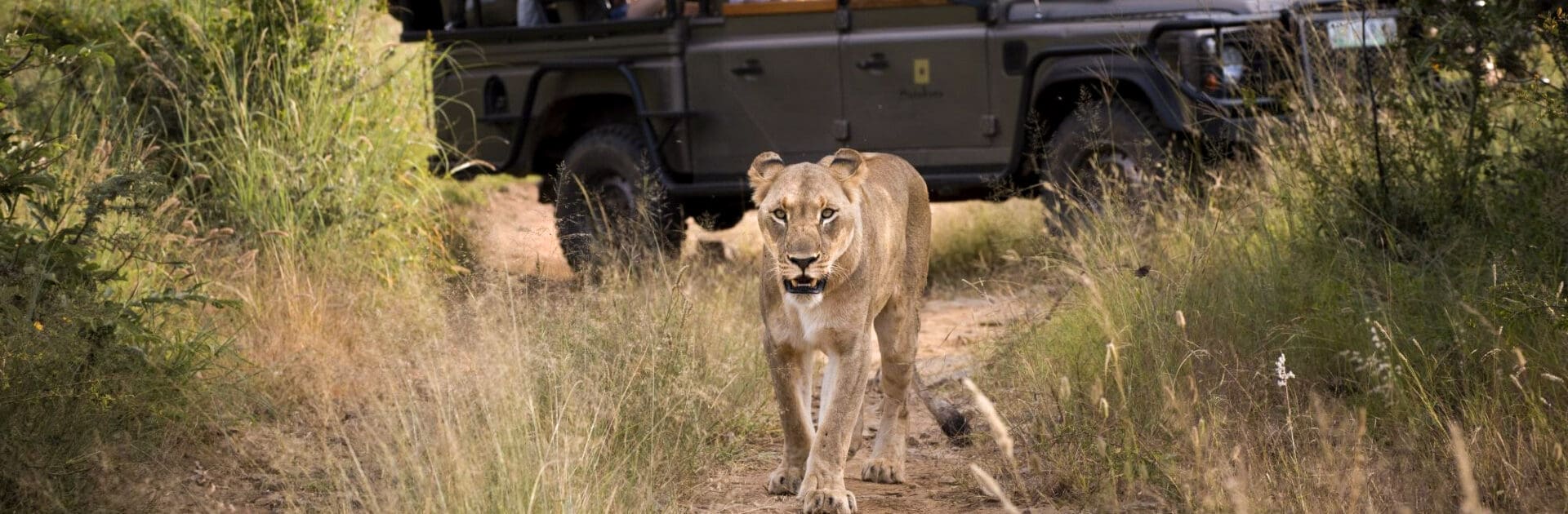 Découvrez 12 choses inoubliables à faire au Kenya en dehors des safaris ! Du snorkeling à Watamu aux balades en montgolfière dans la Maasai Mara, vivez l'esprit sauvage et le charme côtier du Kenya avec Tour Afrique Orientale.