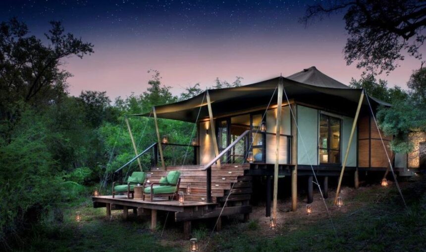 Top 10 des conseils pour réserver les meilleurs safaris à petit budget au Kenya 2025