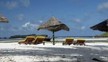 Découvrez Diani Beach, la destination idéale pour vos vacances au Kenya. Profitez de plages idylliques, d’activités palpitantes, et d’excursions de safari inoubliables à Tsavo, Amboseli et plus encore.